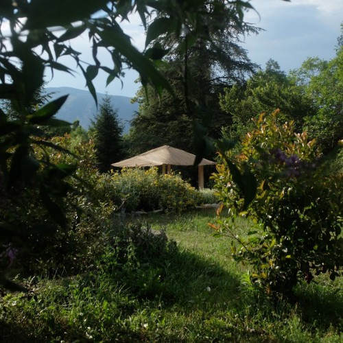 Le chant des oiseaux