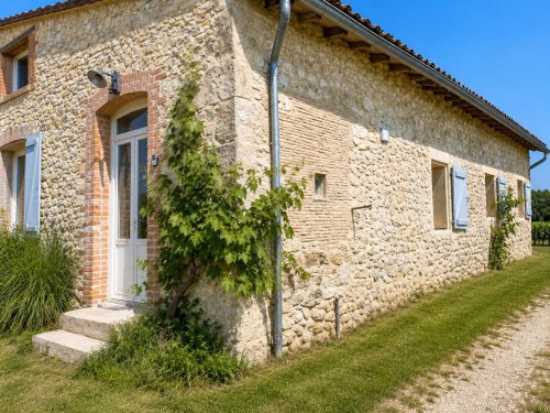 Au nid des vignes