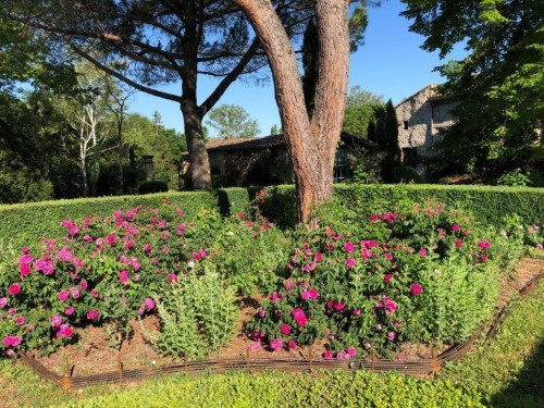 La Maison d'Augustin